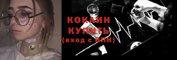 прущие грибы Белокуриха