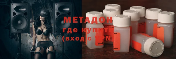 прущие грибы Белокуриха