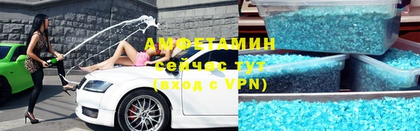 прущие грибы Белокуриха