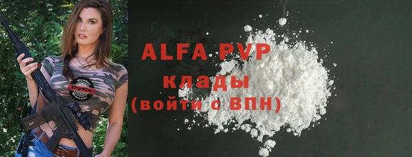 прущие грибы Белокуриха